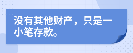 没有其他财产，只是一小笔存款。