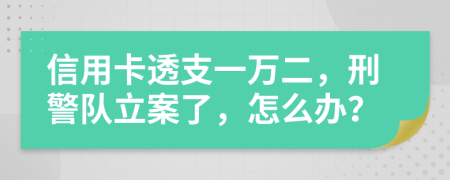 信用卡透支一万二，刑警队立案了，怎么办？