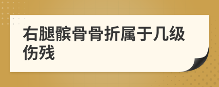 右腿髌骨骨折属于几级伤残