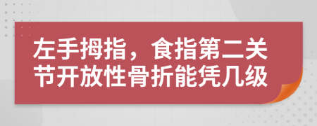 左手拇指，食指第二关节开放性骨折能凭几级