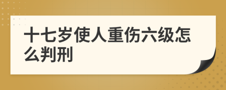 十七岁使人重伤六级怎么判刑