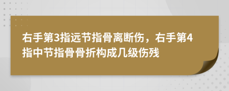 右手第3指远节指骨离断伤，右手第4指中节指骨骨折构成几级伤残