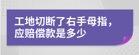 工地切断了右手母指，应赔偿款是多少