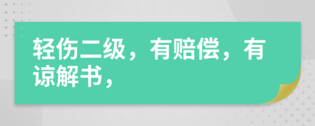 轻伤二级，有赔偿，有谅解书，