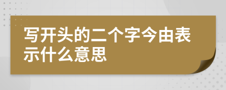 写开头的二个字今由表示什么意思