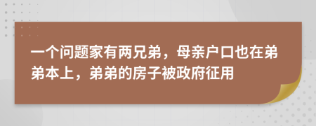 一个问题家有两兄弟，母亲户口也在弟弟本上，弟弟的房子被政府征用