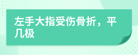 左手大指受伤骨折，平几极