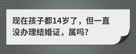 现在孩子都14岁了，但一直没办理结婚证，属吗？