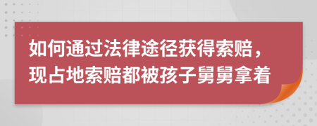 如何通过法律途径获得索赔，现占地索赔都被孩子舅舅拿着