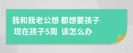   我和我老公想 都想要孩子  现在孩子5周  该怎么办