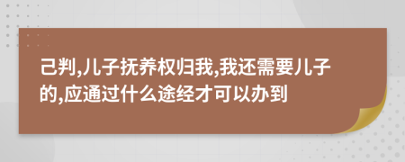 己判,儿子抚养权归我,我还需要儿子的,应通过什么途经才可以办到