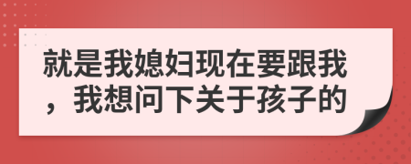 就是我媳妇现在要跟我，我想问下关于孩子的