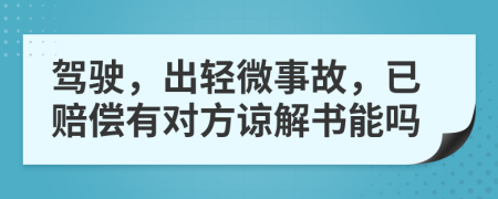 驾驶，出轻微事故，已赔偿有对方谅解书能吗