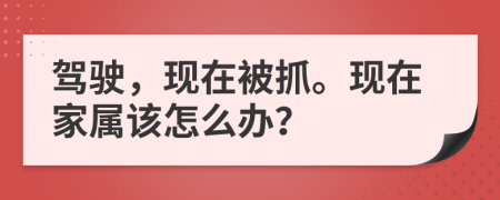 驾驶，现在被抓。现在家属该怎么办？