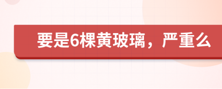 要是6棵黄玻璃，严重么