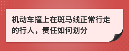 机动车撞上在斑马线正常行走的行人，责任如何划分