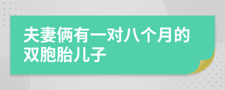夫妻俩有一对八个月的双胞胎儿子