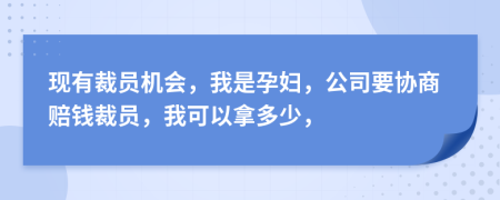 现有裁员机会，我是孕妇，公司要协商赔钱裁员，我可以拿多少，