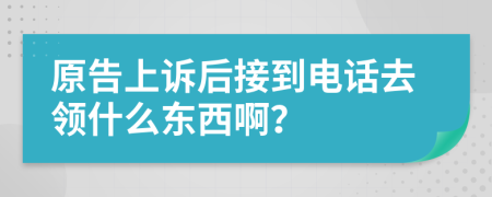 原告上诉后接到电话去领什么东西啊？