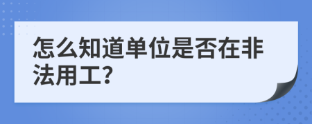 怎么知道单位是否在非法用工？