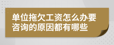 单位拖欠工资怎么办要咨询的原因都有哪些