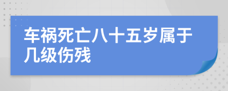 车祸死亡八十五岁属于几级伤残