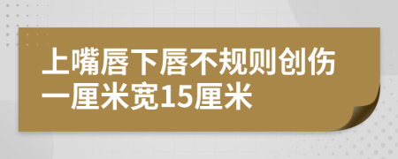 上嘴唇下唇不规则创伤一厘米宽15厘米