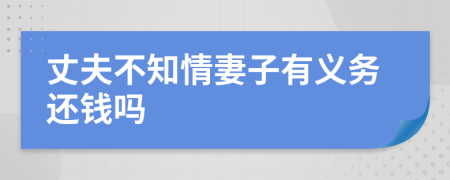 丈夫不知情妻子有义务还钱吗