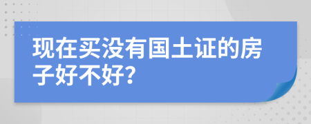 现在买没有国土证的房子好不好？