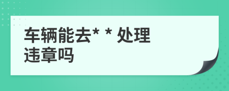 车辆能去* * 处理违章吗