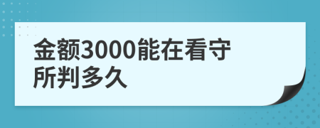 金额3000能在看守所判多久