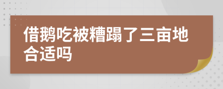 借鹅吃被糟蹋了三亩地合适吗