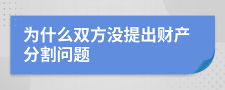 为什么双方没提出财产分割问题