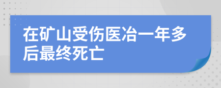 在矿山受伤医冶一年多后最终死亡