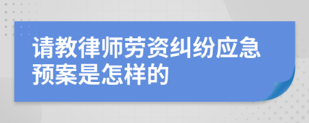 请教律师劳资纠纷应急预案是怎样的