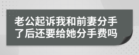 老公起诉我和前妻分手了后还要给她分手费吗