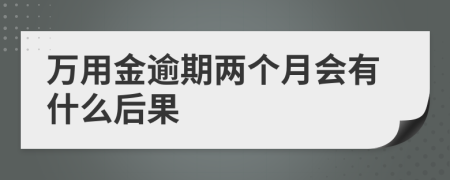 万用金逾期两个月会有什么后果