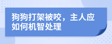 狗狗打架被咬，主人应如何机智处理