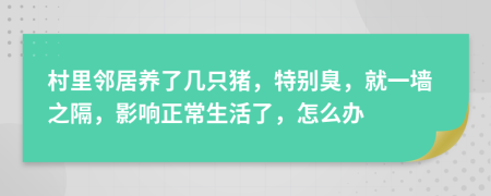 村里邻居养了几只猪，特别臭，就一墙之隔，影响正常生活了，怎么办