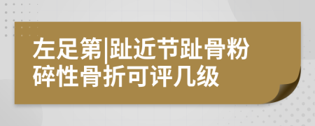 左足第|趾近节趾骨粉碎性骨折可评几级