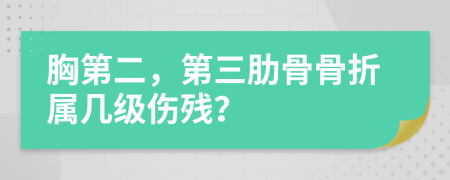 胸第二，第三肋骨骨折属几级伤残？