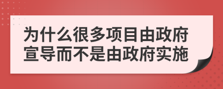 为什么很多项目由政府宣导而不是由政府实施