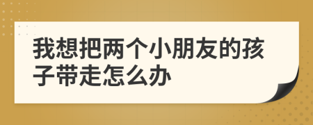 我想把两个小朋友的孩子带走怎么办