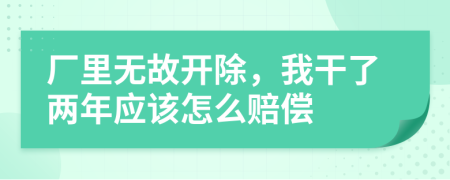 厂里无故开除，我干了两年应该怎么赔偿