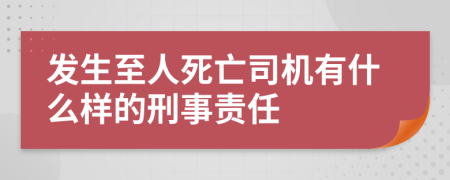 发生至人死亡司机有什么样的刑事责任