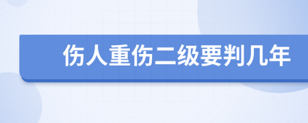 伤人重伤二级要判几年