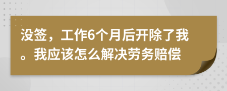 没签，工作6个月后开除了我。我应该怎么解决劳务赔偿