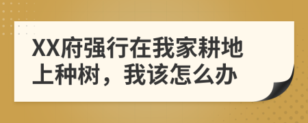 XX府强行在我家耕地上种树，我该怎么办
