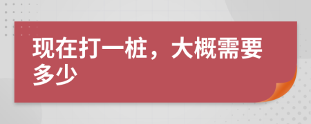 现在打一桩，大概需要多少