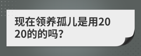 现在领养孤儿是用2020的的吗？